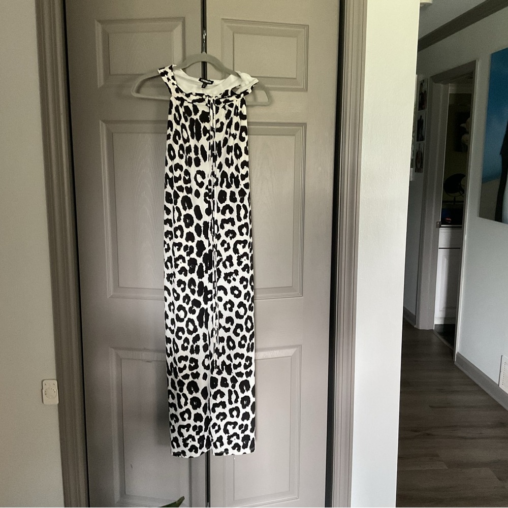 Express Zebra Patterned Dress - Picture 2 of 6